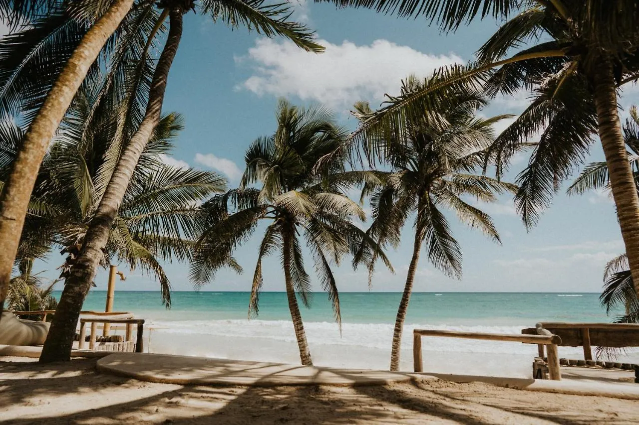Zorba Tulum Beach Homes