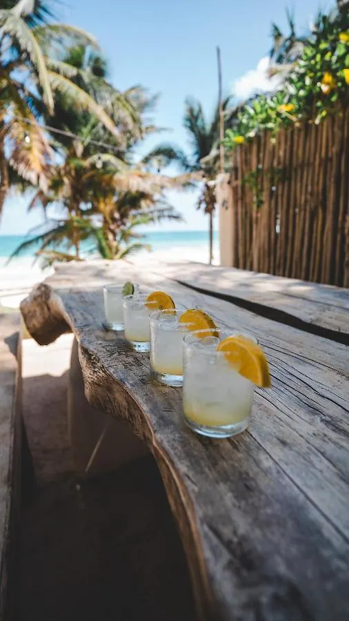 Zorba Tulum Beach Homes Villa